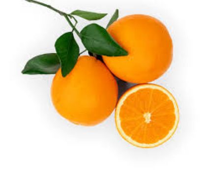 Picture of Navel Oranges