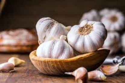 Picture of garlic